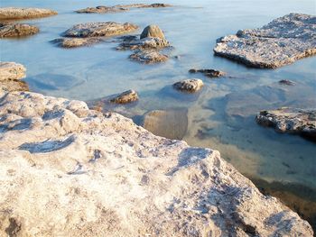 High angle view of rocks on shore