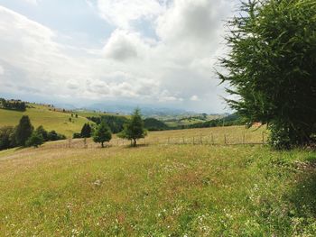 Scenic view of field against sky