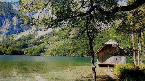 Scenic view of lake in forest