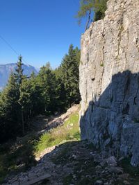 Rock formation amidst trees against clear sky