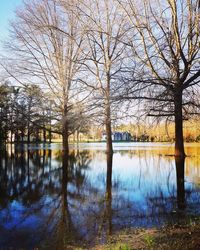 Reflection of bare trees in lake against sky during winter