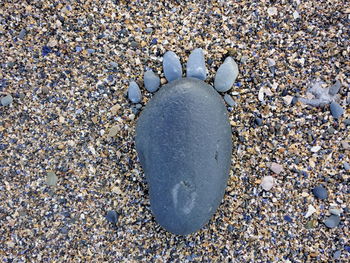 Close-up of pebbles on sand