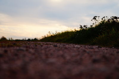 Surface level of field against sky