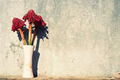 Close-up of red flower vase on table against wall