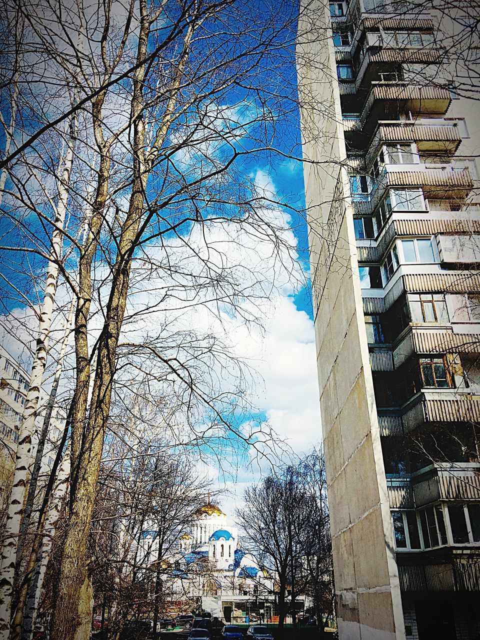 LOW ANGLE VIEW OF BARE TREE AGAINST BUILDING