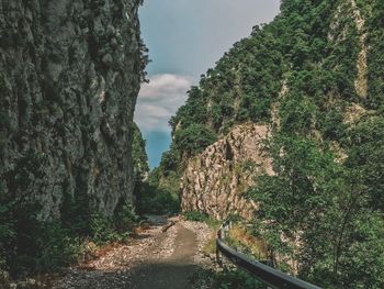 Road amidst trees against sky