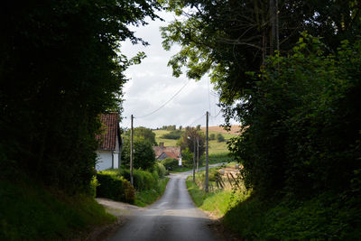 Road amidst trees in city against sky