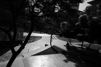 Shadow of trees on footpath