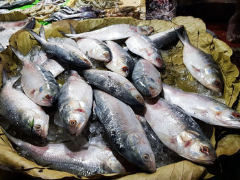 High angle view of fish for sale in market