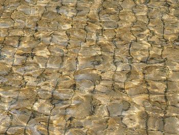 Full frame shot of stone wall