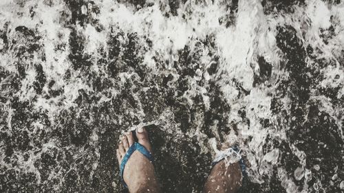 Low section of man swimming in pool