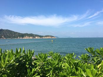 Scenic view of sea against blue sky