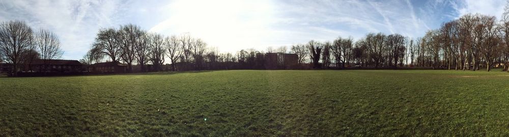 Scenic view of grassy field against sky