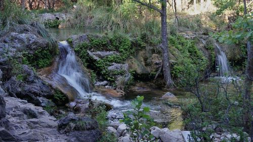 Scenic view of waterfall in forest