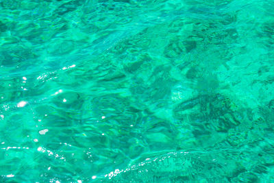 High angle view of swimming pool