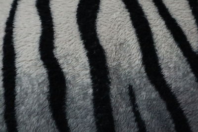 Full frame shot of zebra