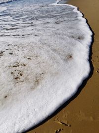 Close-up of crab on beach