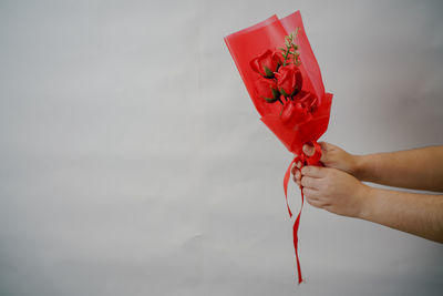 Midsection of person holding red rose against white wall