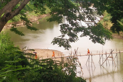 Man standing by river against trees