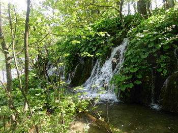 River flowing through rocks