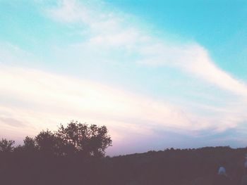 Low angle view of tree against sky