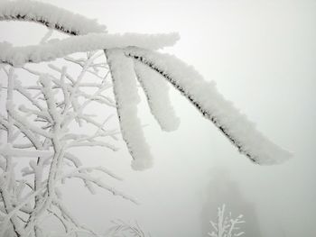 Close up of snow