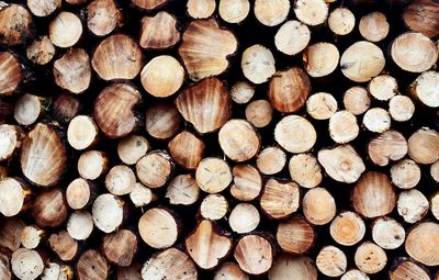 Full frame shot of logs