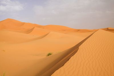 Scenic view of desert against sky