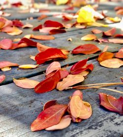 Close-up of autumn leaves on table