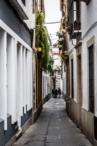 View of people walking through alley