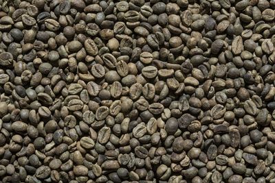 Close-up of raw coffee beans