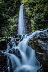 View of waterfall in forest