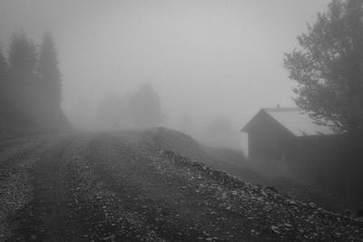 Trees on field against sky during foggy weather