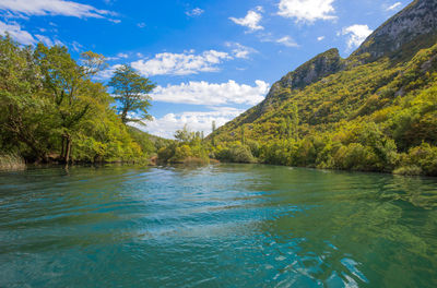 Scenic view of river amidst trees against sky