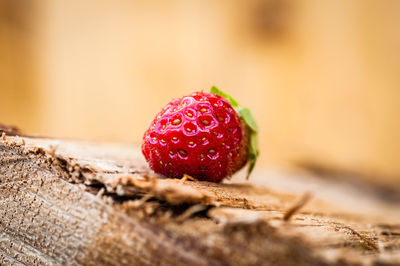 Close-up of strawberry