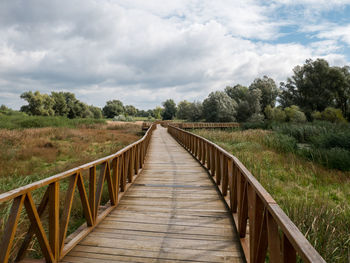 Footbridge amidst trees against sky