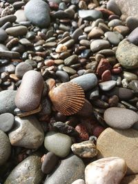 Close-up of pebbles on beach