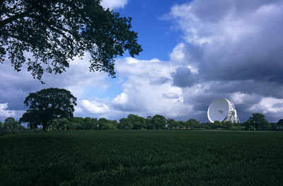 Trees on grassy field against cloudy sky