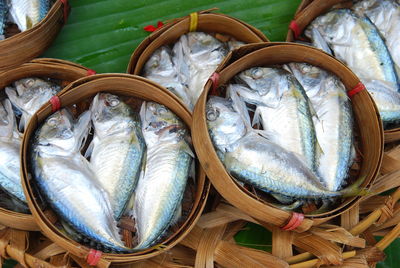 Close-up of fish in basket