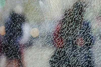 Close-up of water drops on leaf