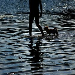 Low section of people in swimming pool