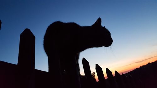 Low angle view of silhouette people against clear sky