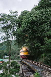 Train on railroad tracks by trees against sky