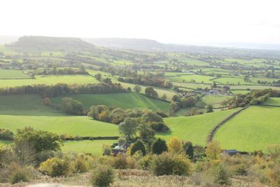 Scenic view of rural landscape