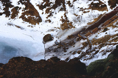 Rear view of man standing on rock