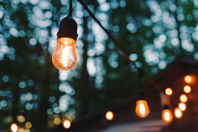 Close-up of outdoor garland with warm lights, with blurred trees on the background. 