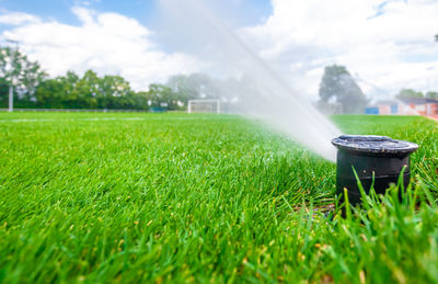 Green grass on field against sky