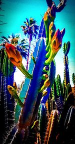 Low angle view of flowers against blue sky