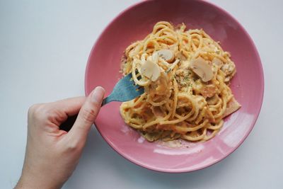 Close-up of hand holding food in plate over white background