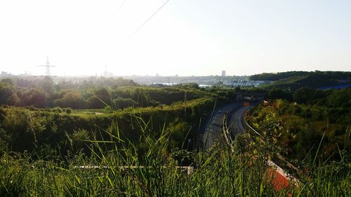 Scenic view of field against clear sky